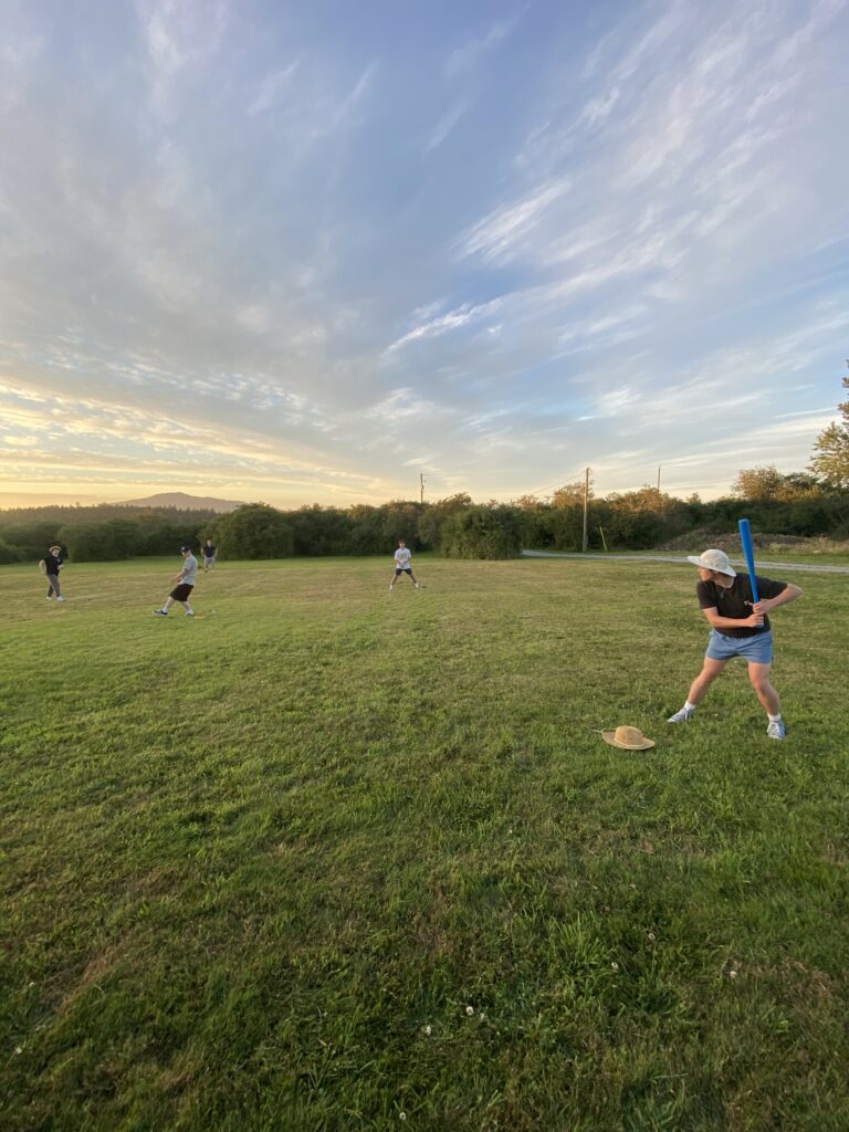 Photo of five friends playing baseball. One is batting with a blue bat, one is pitching and the other three are fielding. In the background is many bushes, a mountain and some clouds.